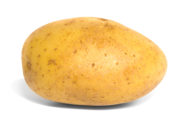 7723723_by_William77948_1513627223_potato.jpg