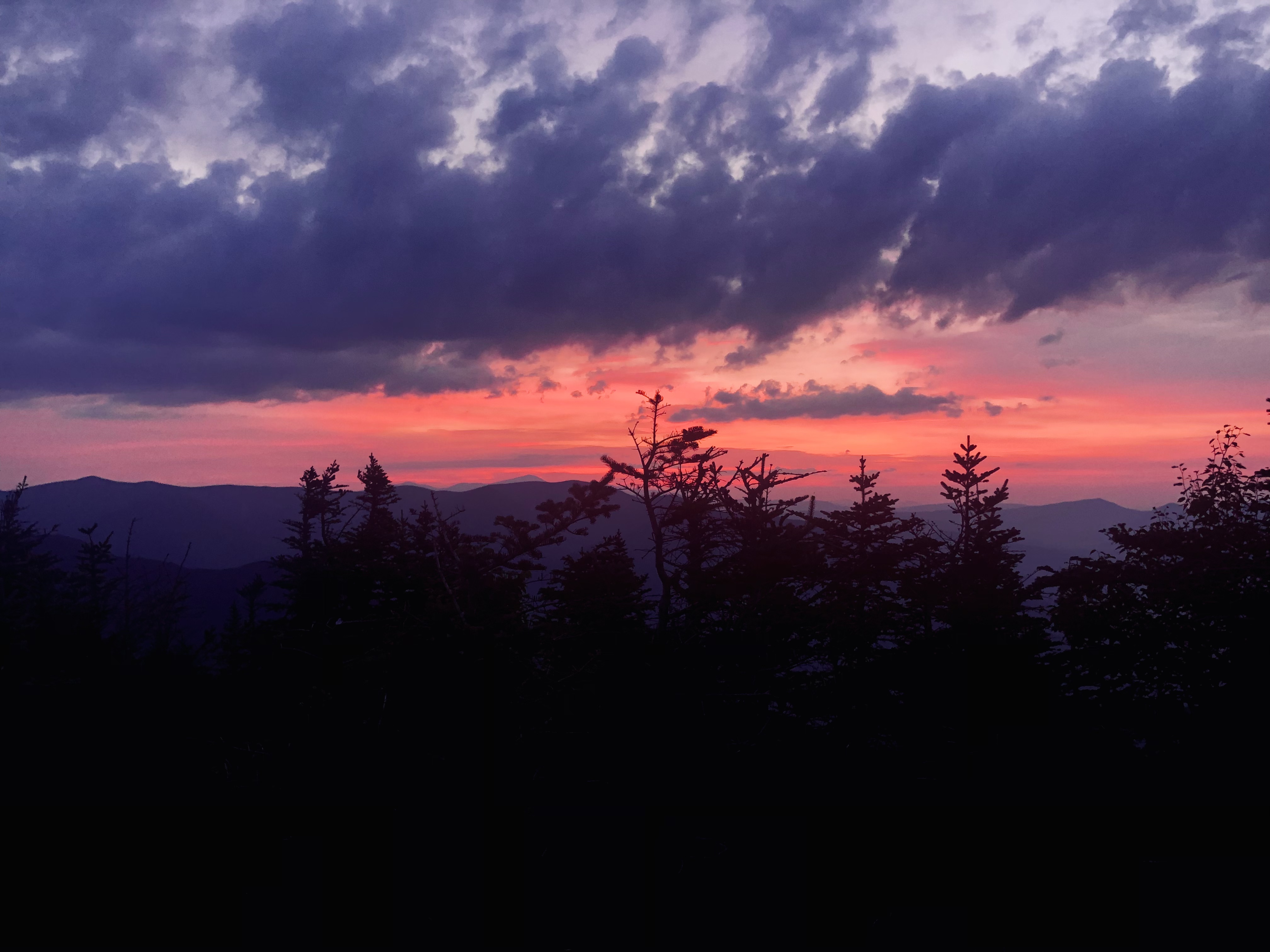 8560F355-4B3A-4724-8668-C844689F3B0C.jpeg