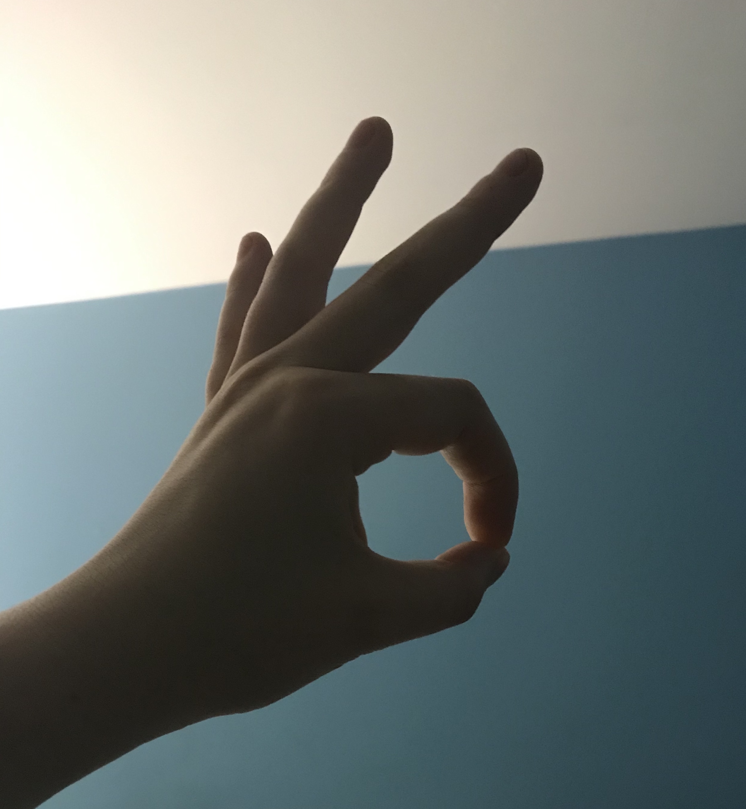 8929BFC9-1A27-45D6-A0C1-4E39B1343619.jpeg