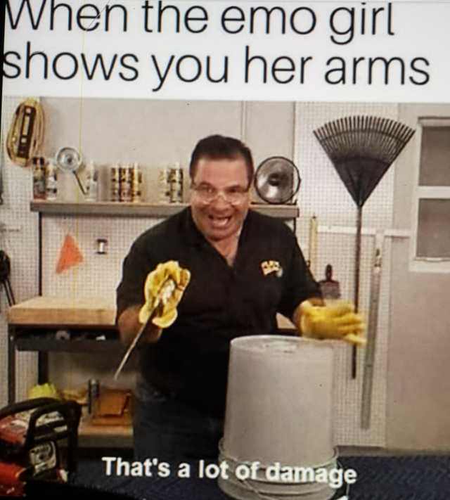 8B1NzYD_d.jpg
