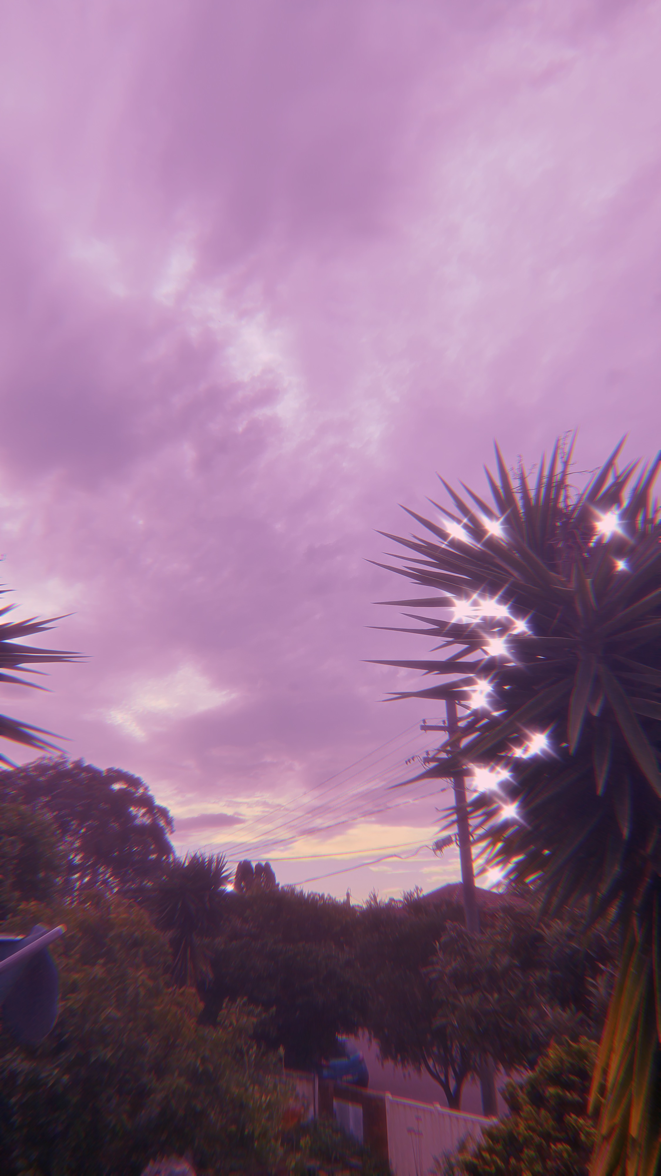 8F11C1FE-1A79-4047-97B7-652AE5B8E878.jpeg