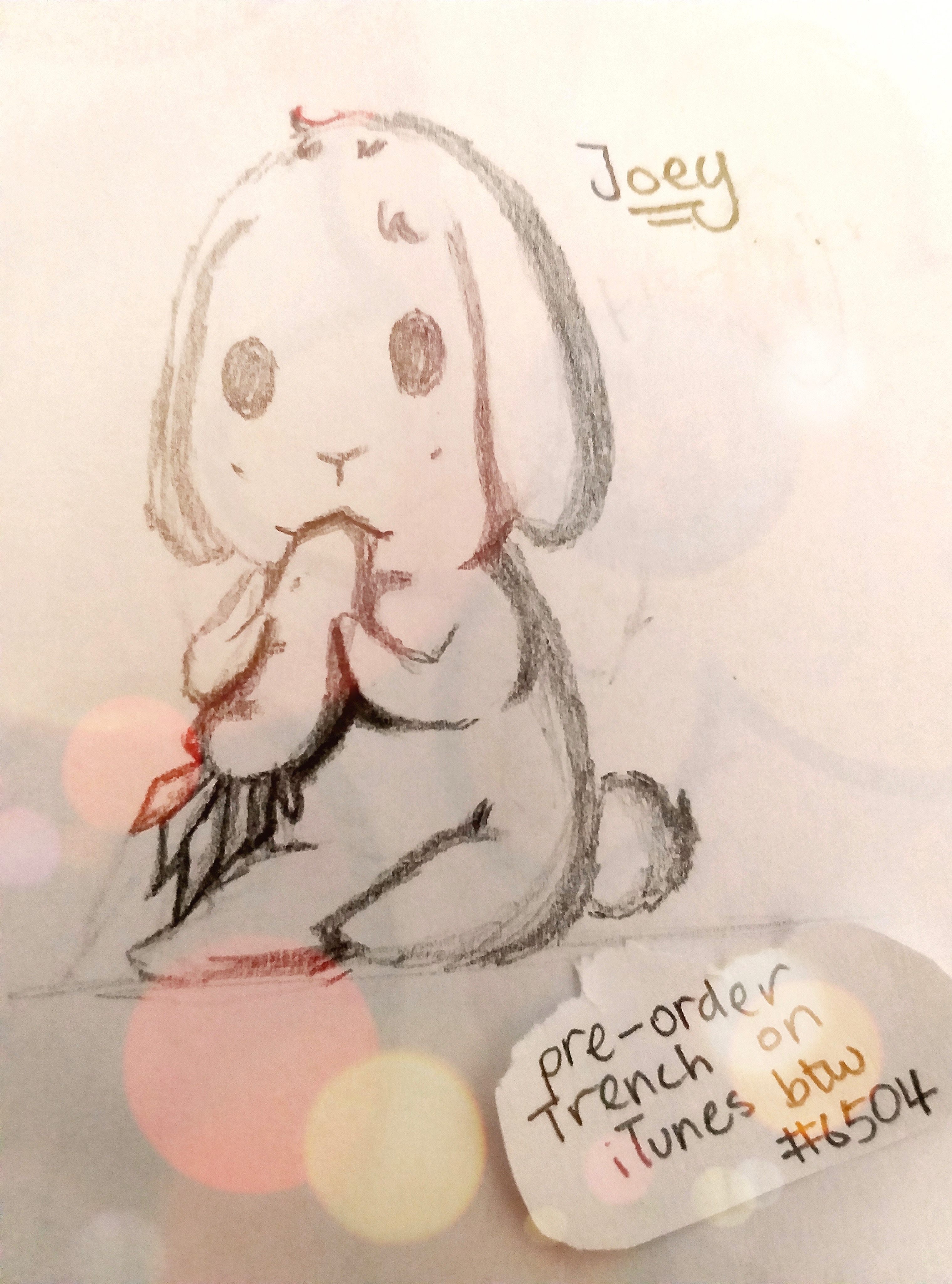 906324DD-0137-4EDF-AC70-236FD60D42ED.jpeg
