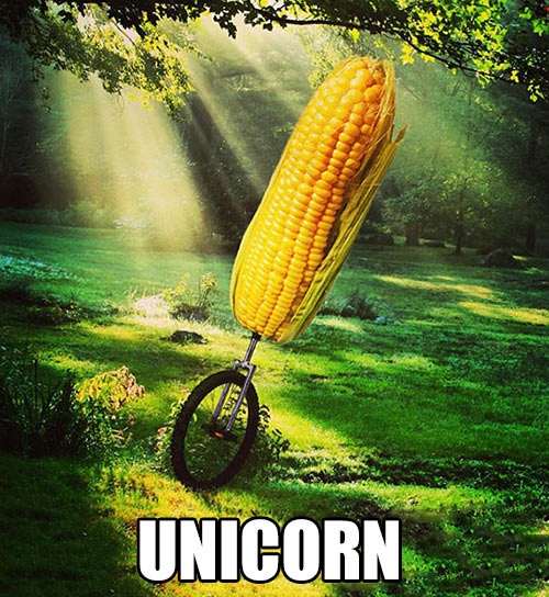 973D88E8-123A-49DC-A480-B4F373304AC0.jpeg