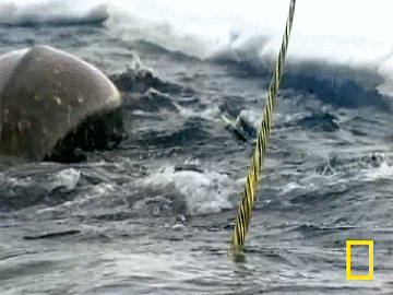 9C746683-271B-4F89-BD37-3A4E5A40F0BD.gif