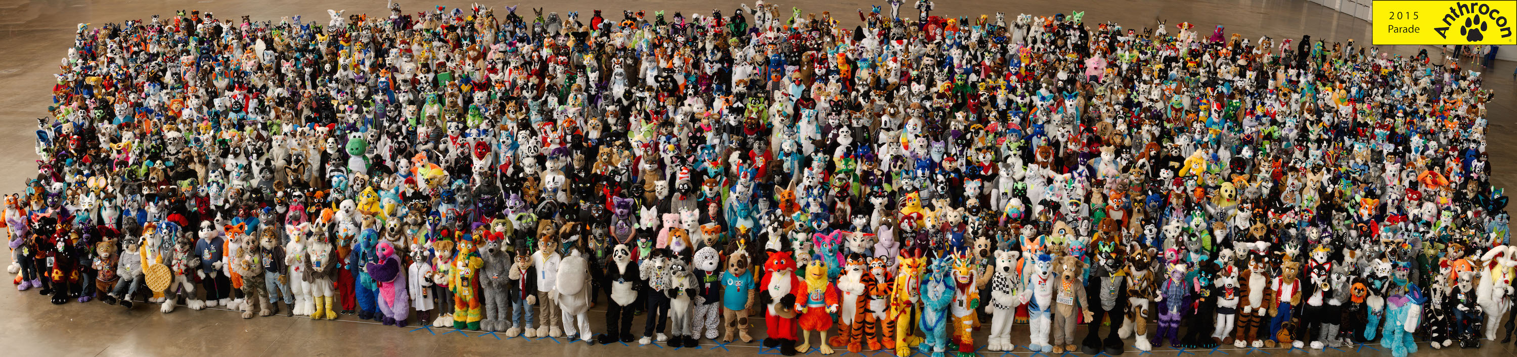 AC 2015.jpg