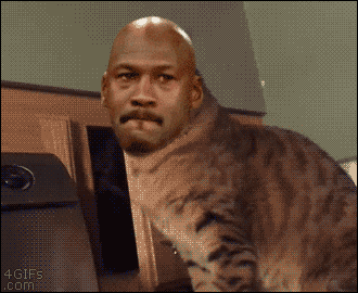 ac0b52151331608287ea29f9e20dc6e61c7b3308.GIF