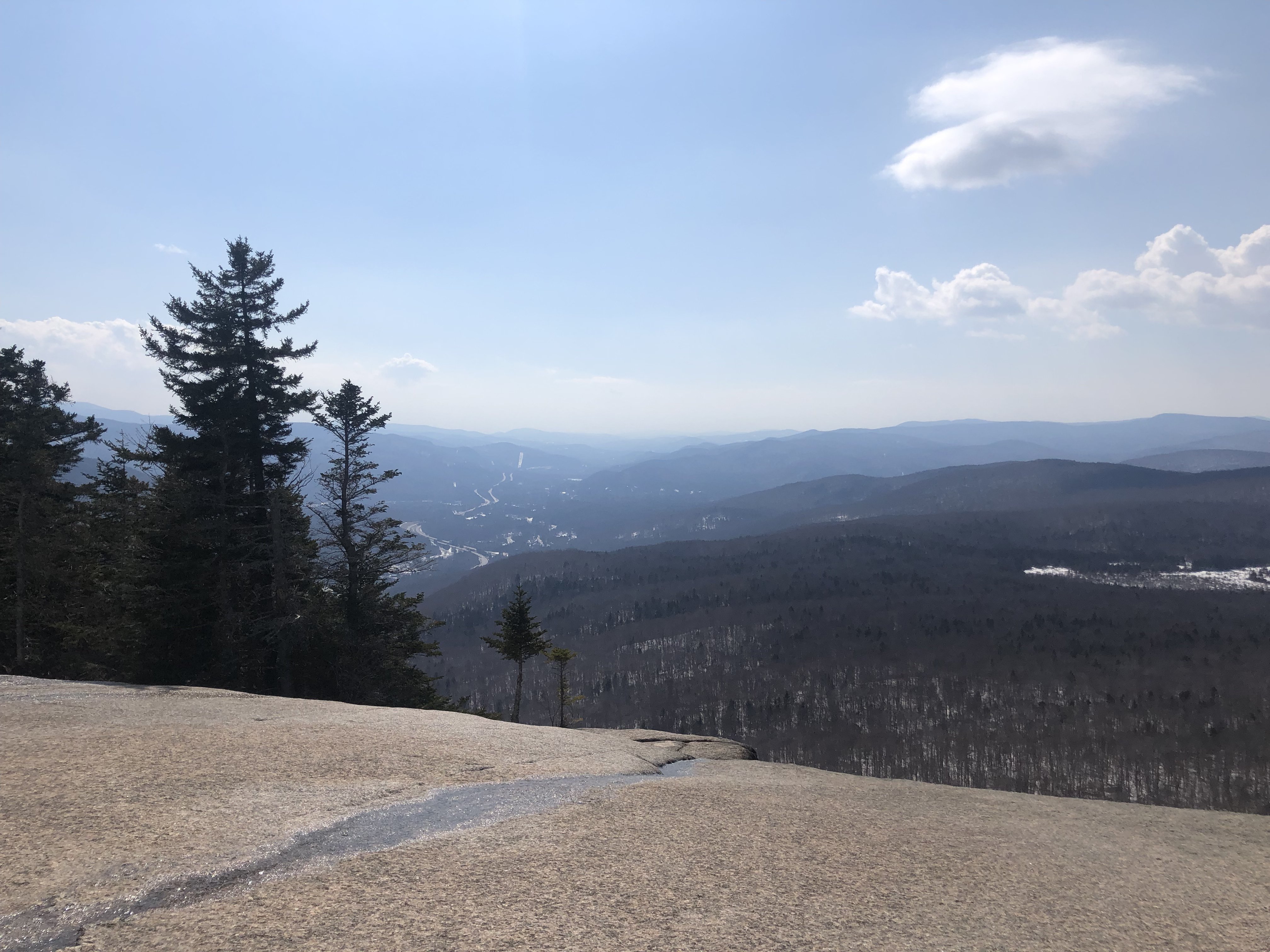 ACD0F625-82F0-48D6-A9F4-A4A587FA9640.jpeg