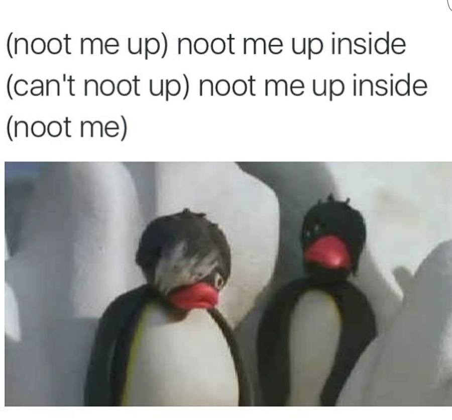 Am5cAxE.jpg