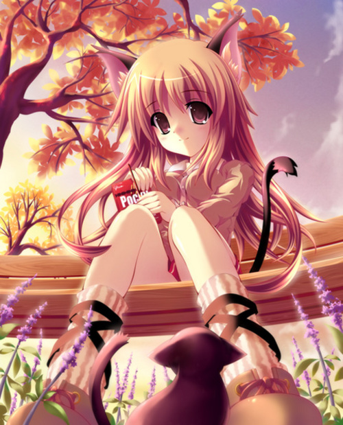 Anime-catgirl--large-msg-116223818958.jpg