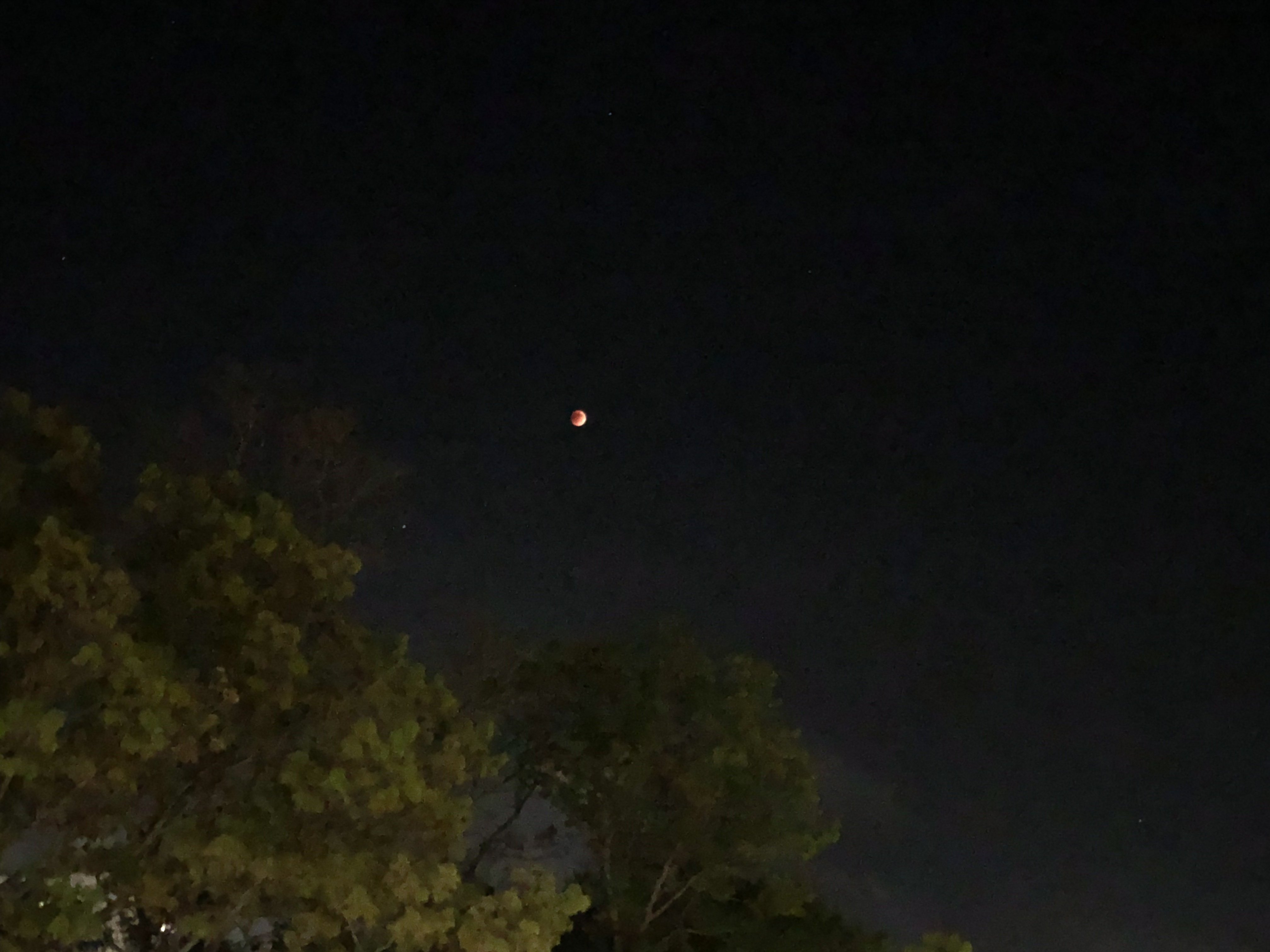 BD137552-6D3C-44BF-A7A4-19B3004933F4.jpeg
