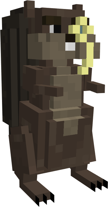 Body (without acorn).png