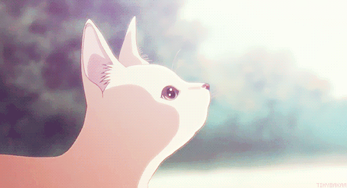 boop~.gif