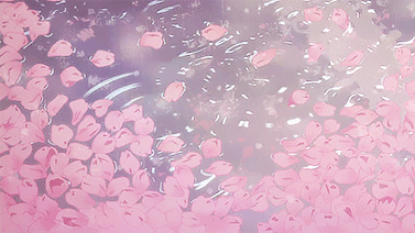 c2d125732afd046b270eabc0ce879412.gif
