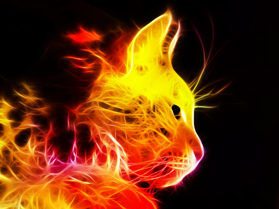 C77BEA2D-5425-4160-9A99-9B6719A8B71F.jpeg
