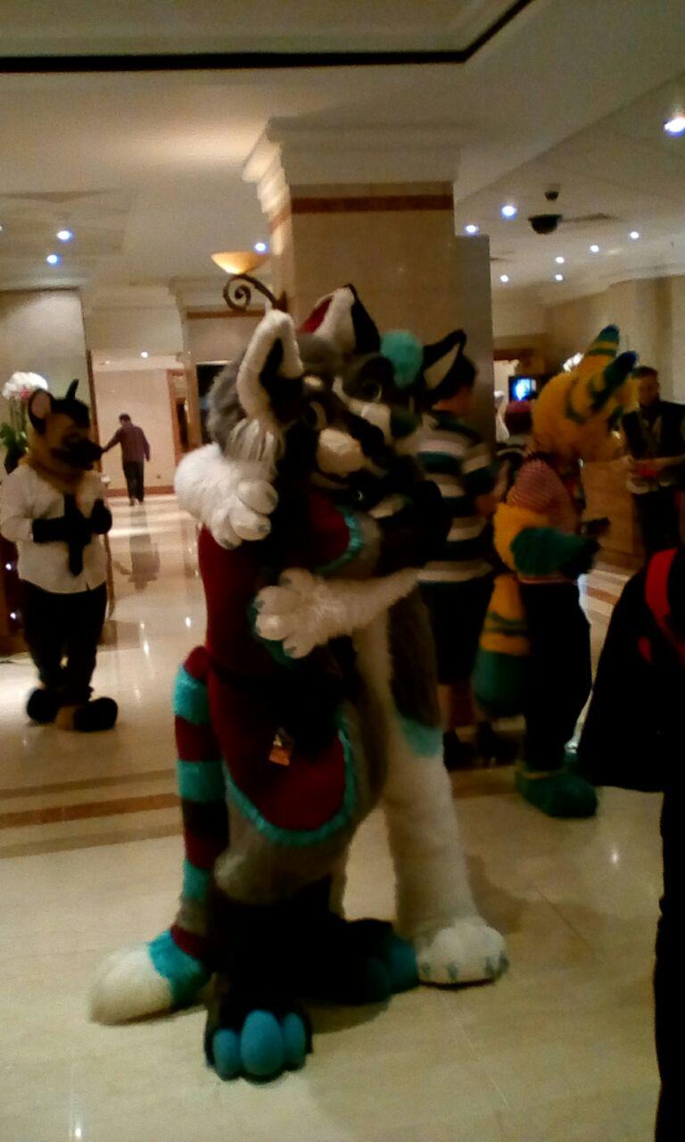 Confuzzled 12.jpg