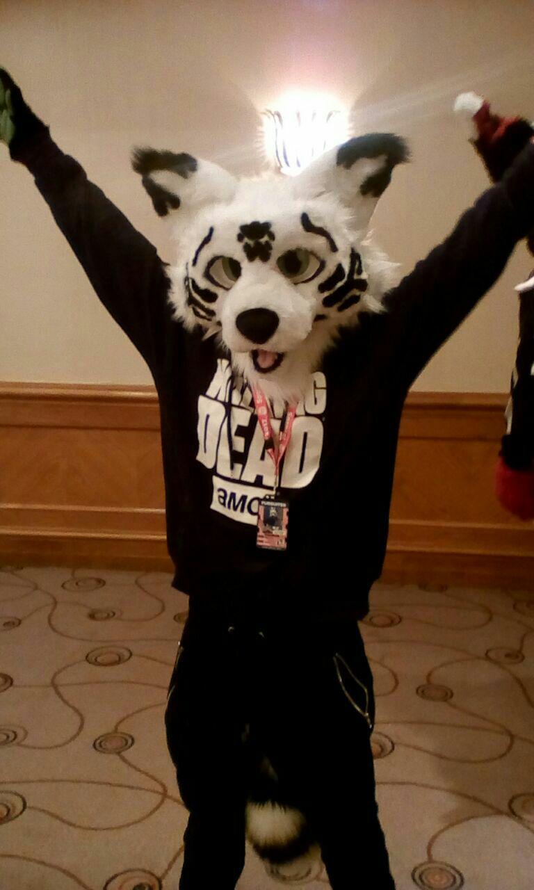 ConFuzzled 2.jpg