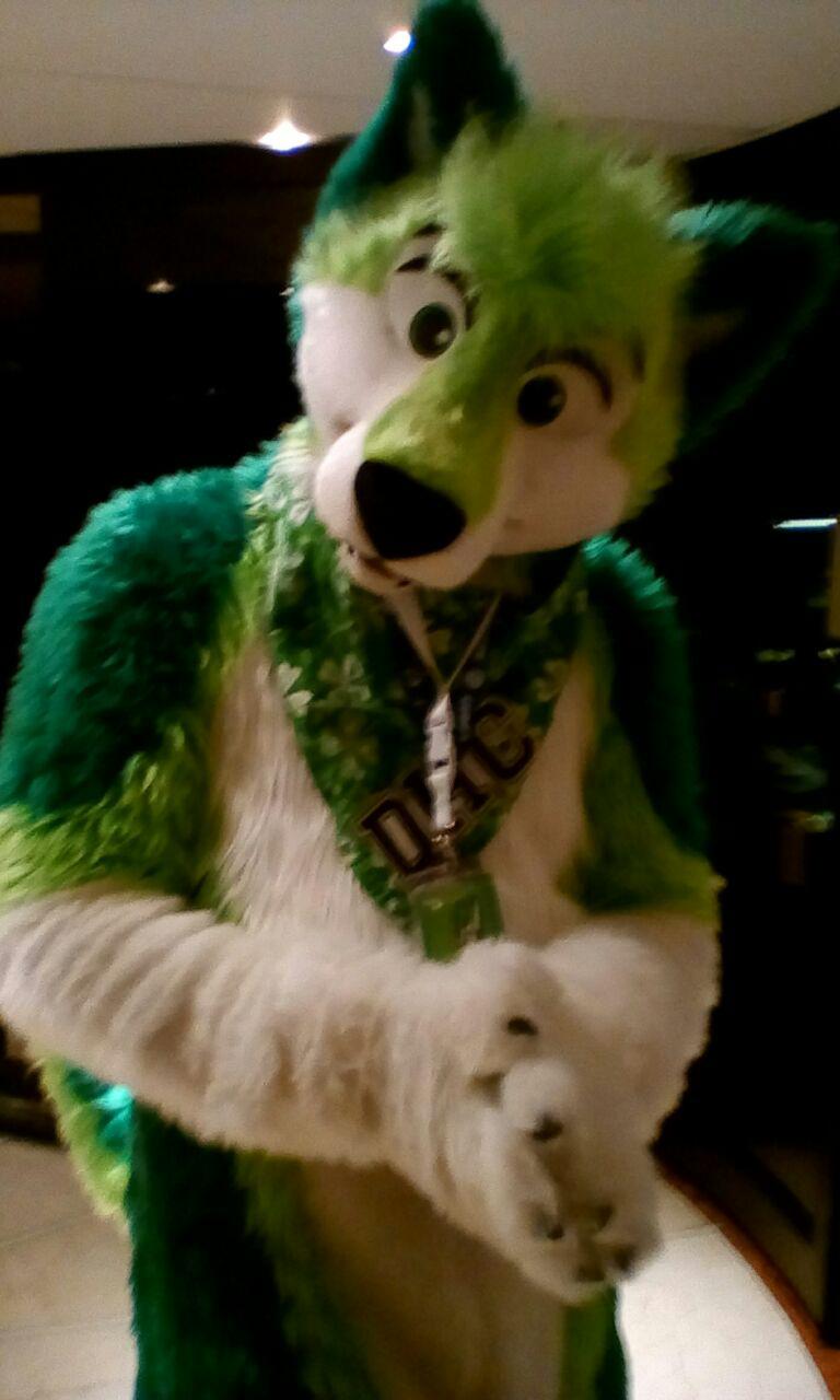 ConFuzzled 4.jpg