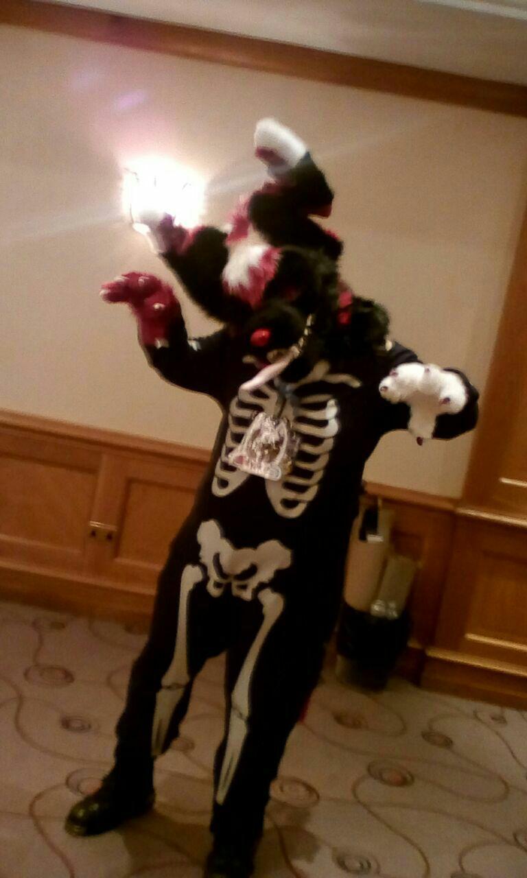 Confuzzled 5.jpg