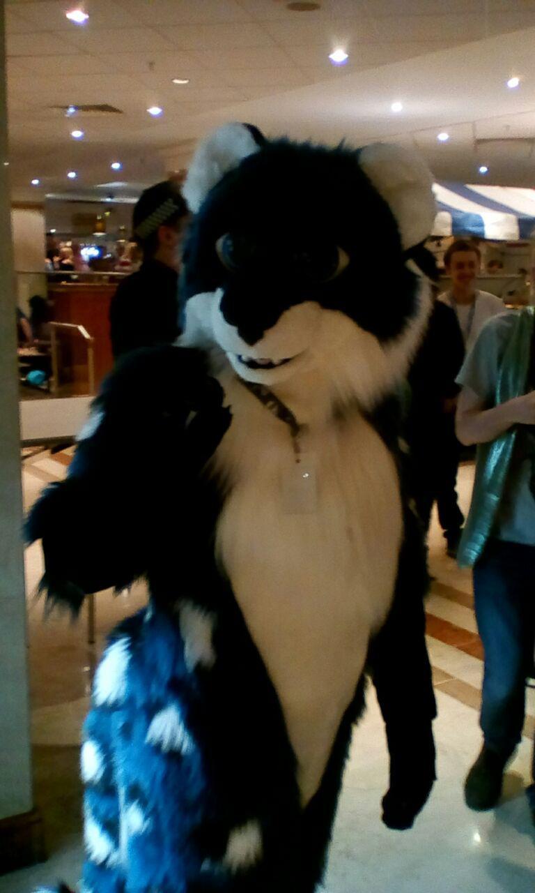 ConFuzzled 7.jpg