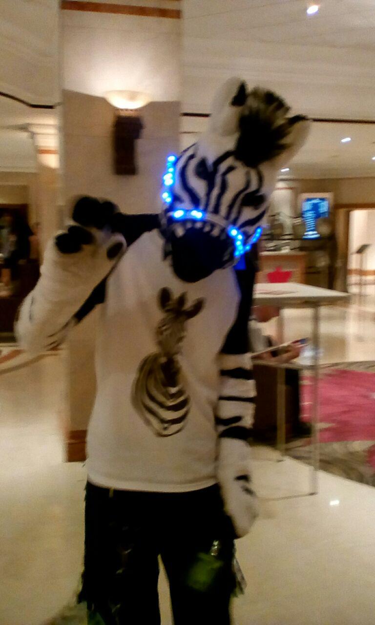 Confuzzled 9.jpg