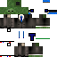 custom.png