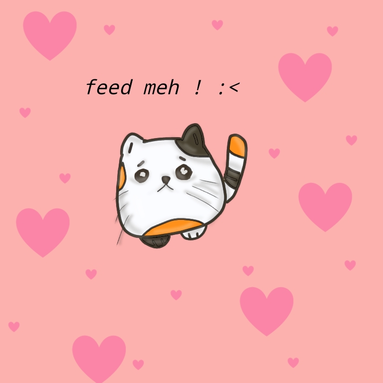 cute calico cat!.jpg