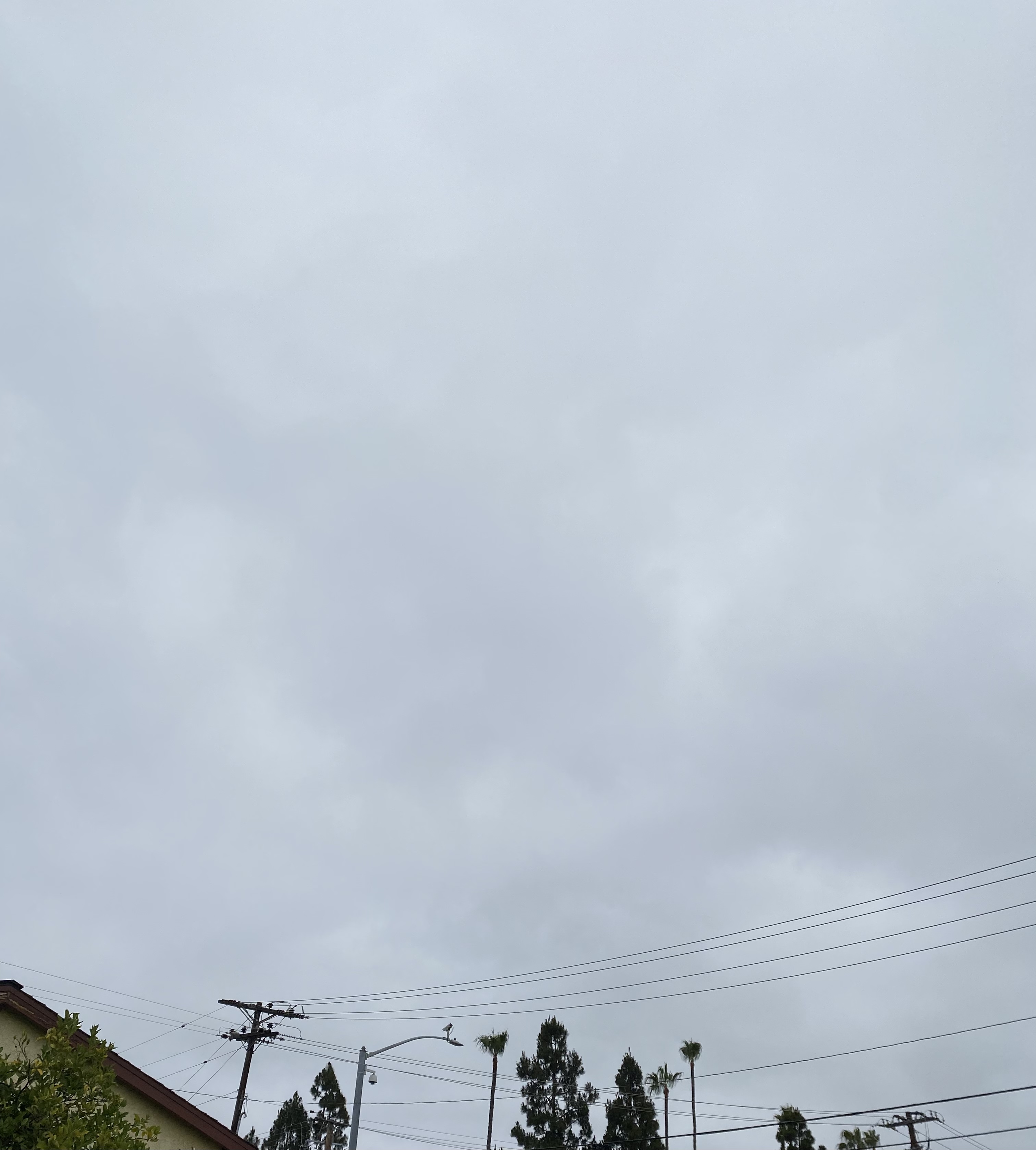 D90338AE-677E-4555-9525-112C0FA61D95.jpeg