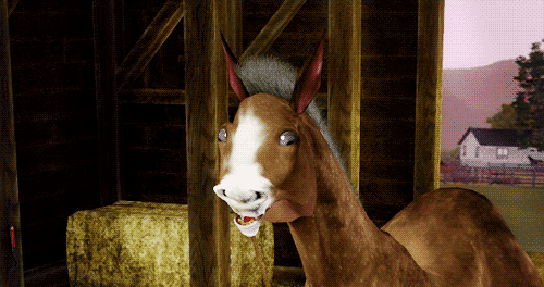 DCED4159-A010-41B1-9DC6-A243FDE41899-1141-000000FD1AE117D3.gif