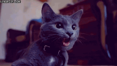 DD676194-EF78-47B7-97DC-DCBABDC9CDAB.gif