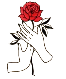 DE4F1A8F-1DB4-4E52-9310-5311E81CFEB0.png