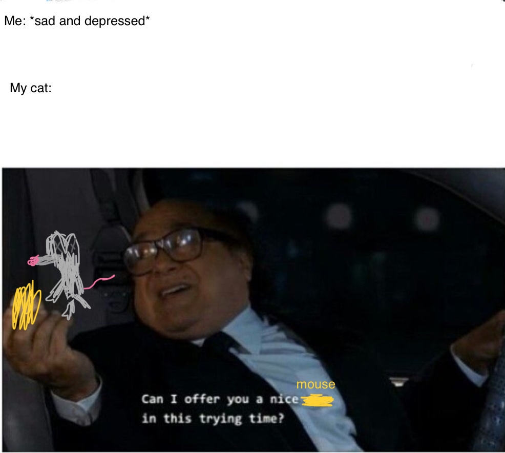 DE5B2E6C-24A8-46D8-A29E-00254E4A1338.jpeg