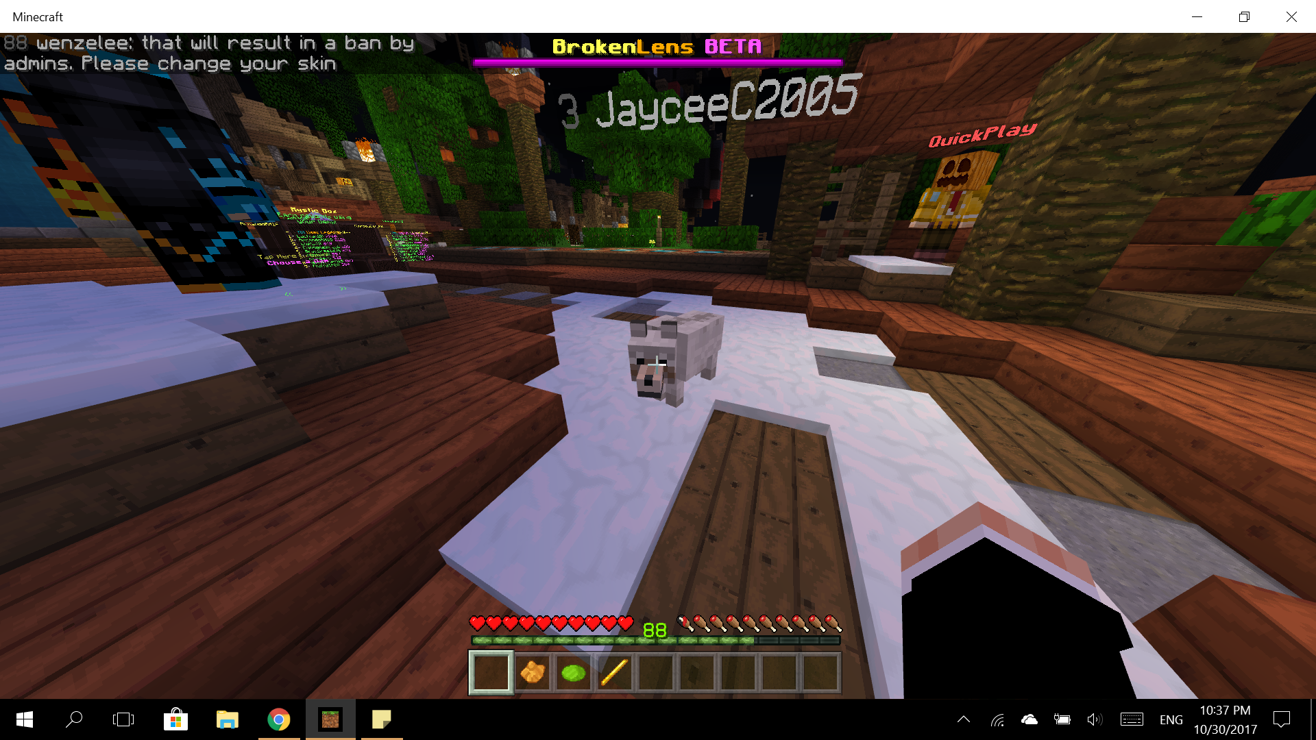 disallowed skin.png