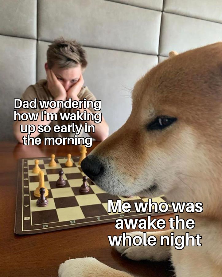 Doge Playing Chess 22072021223735.jpg