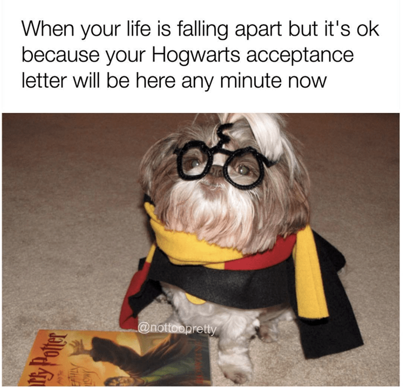 download.png