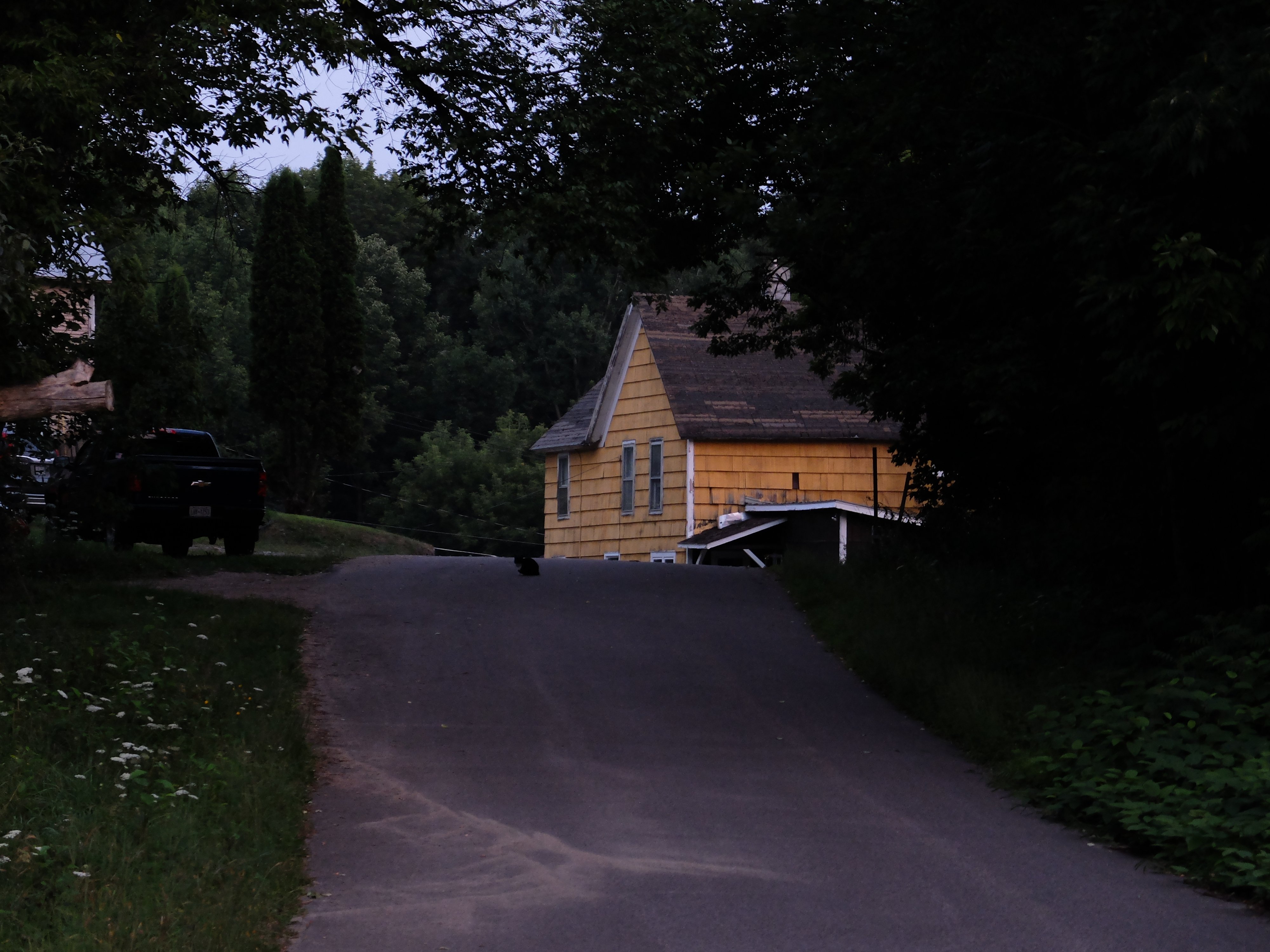 DSCF0419.JPG