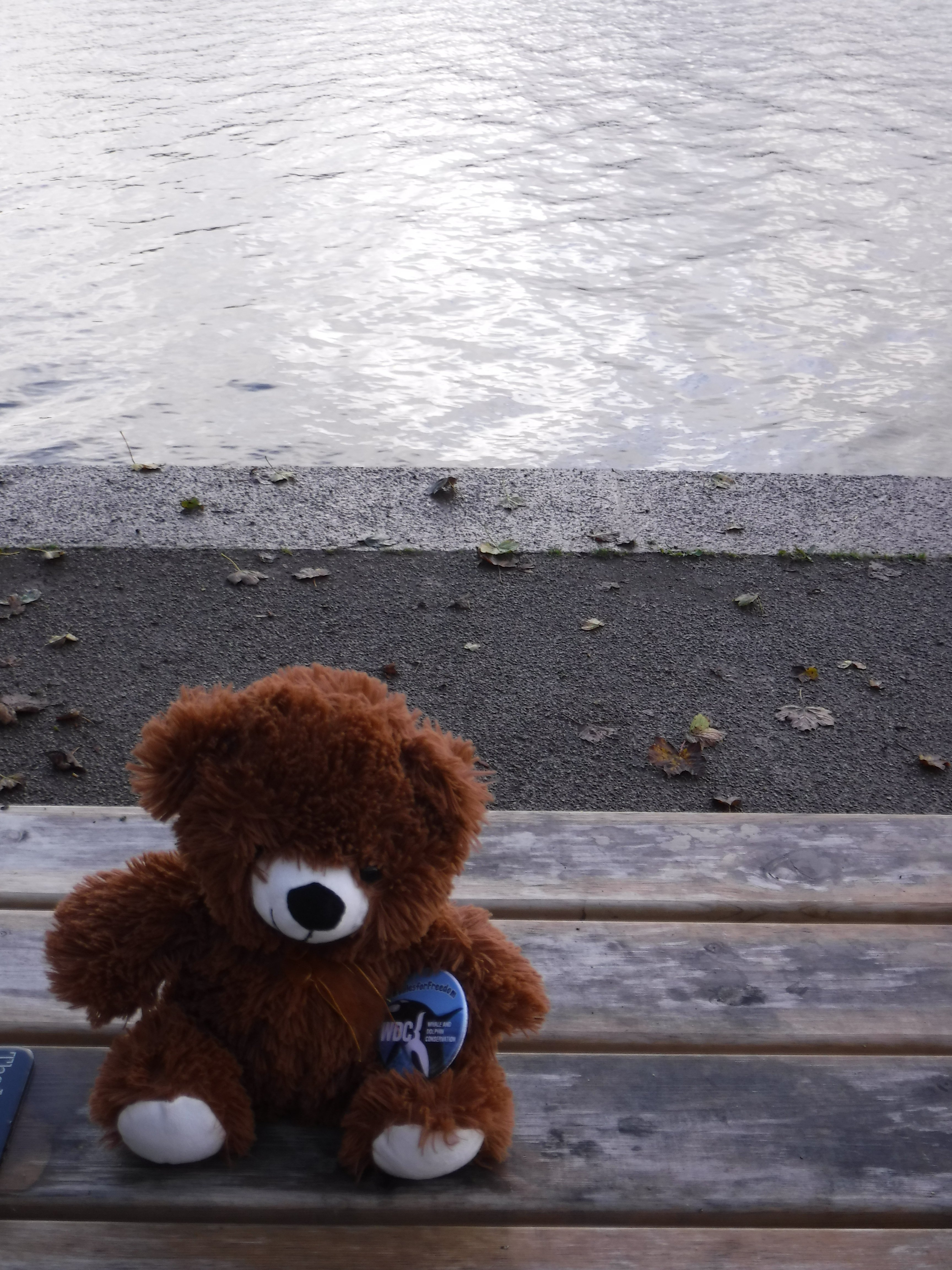 DSCF07612.JPG
