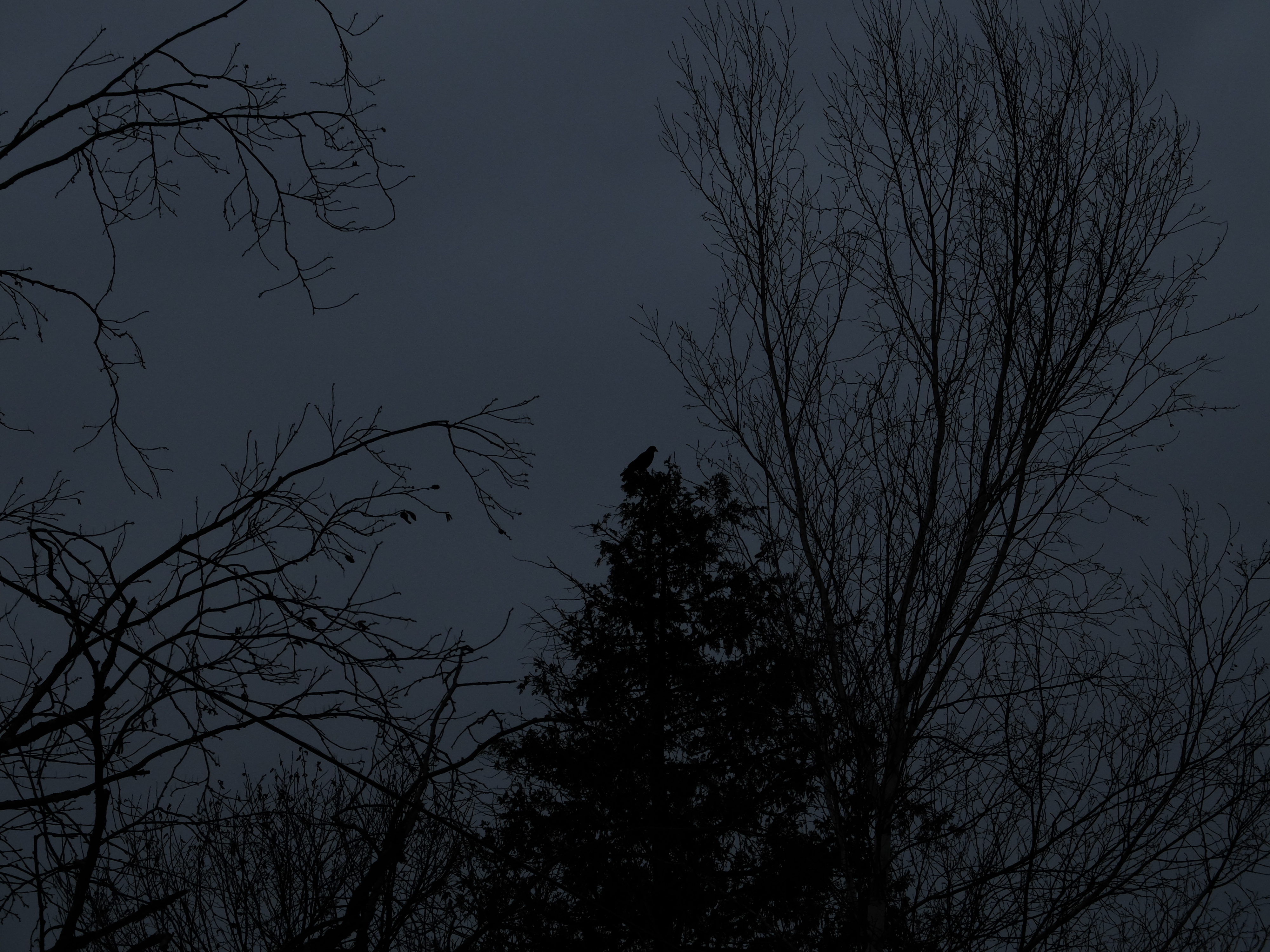 DSCF0853.JPG