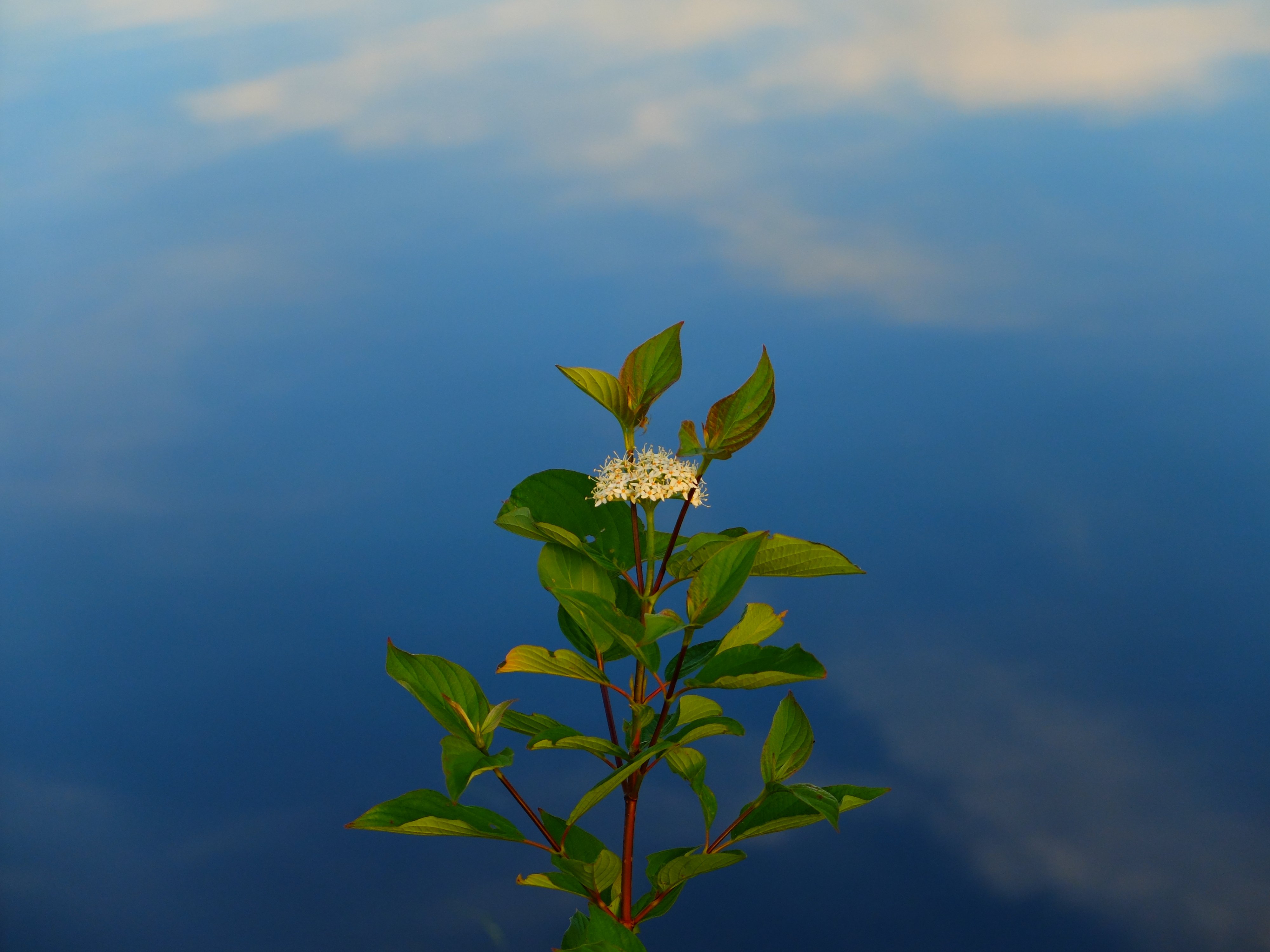 DSCF1040.JPG