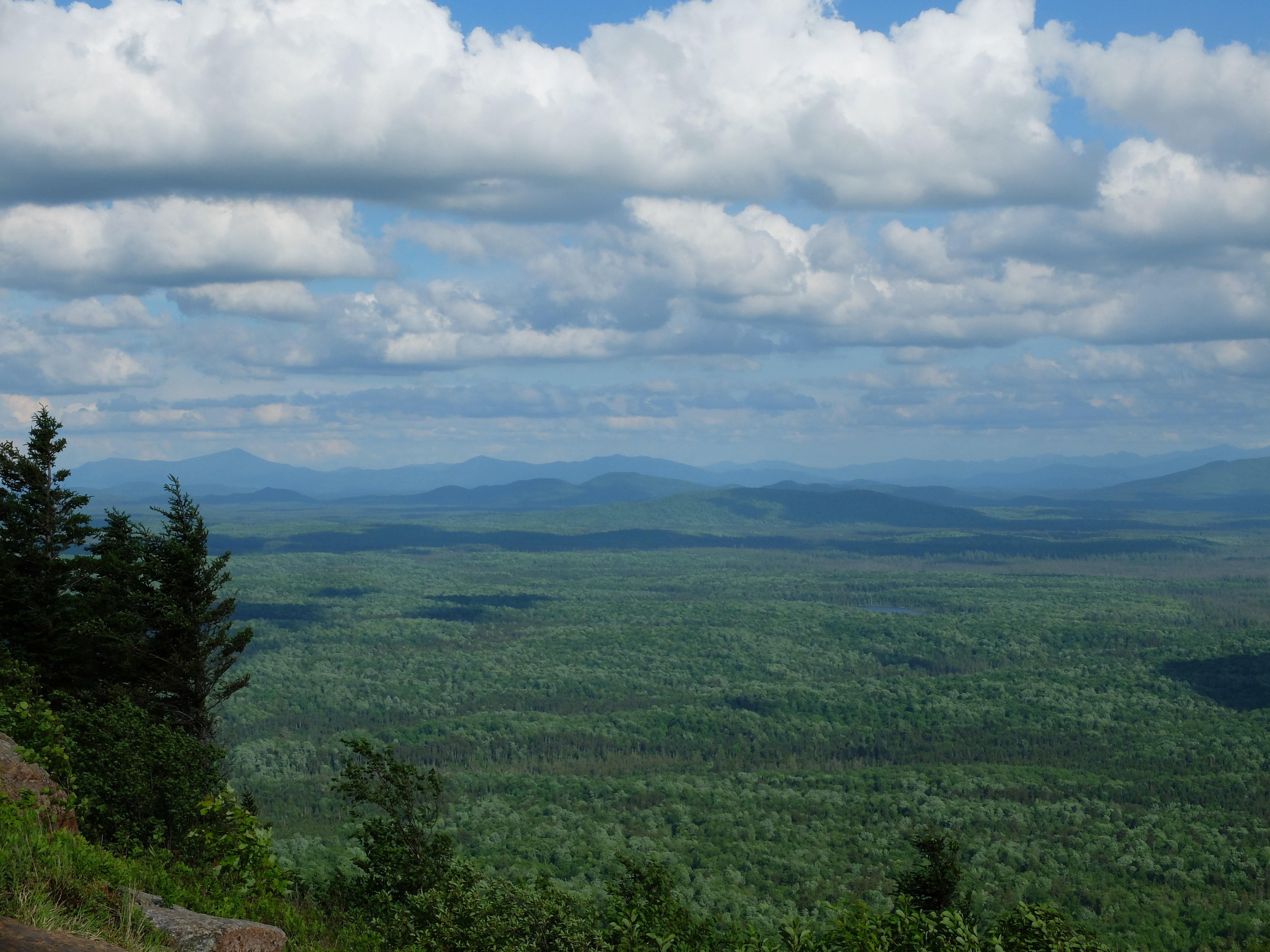 DSCF1241.JPG