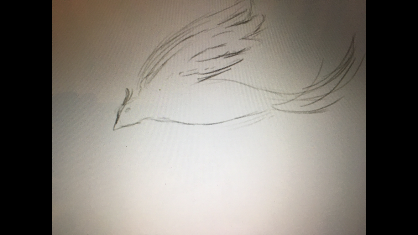 E0686DD9-D161-4C4C-9ACF-A431309F76A7.png