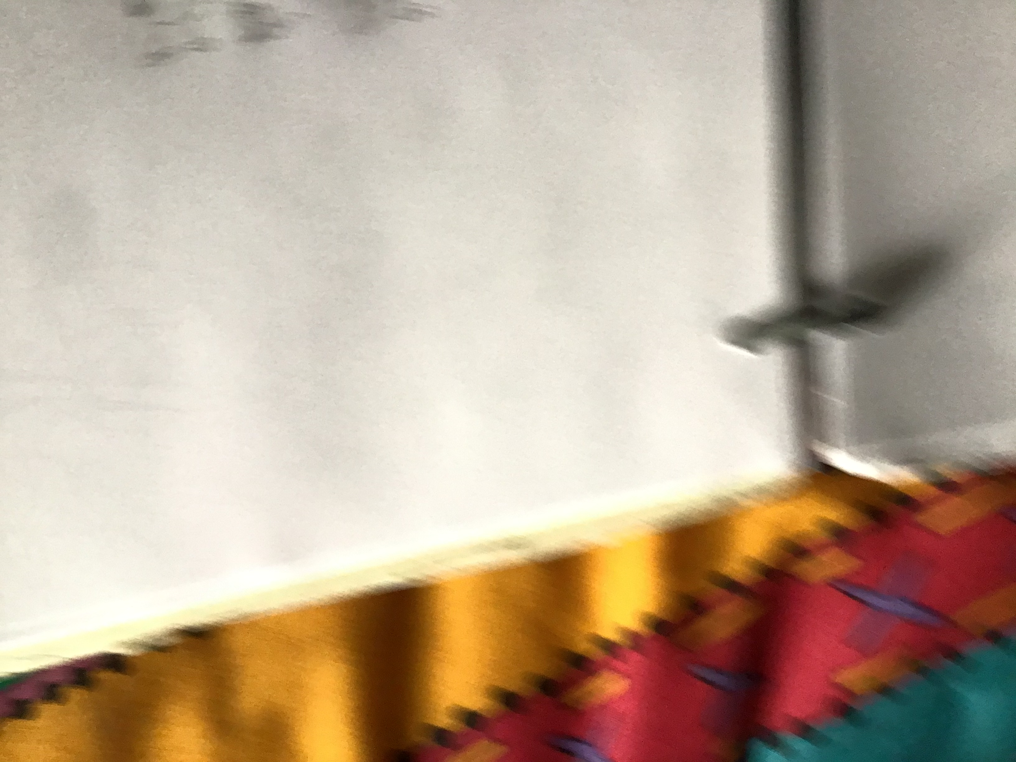 E2E9C4E7-40EC-45DE-AF96-D6FD4EB7B9A9.jpeg