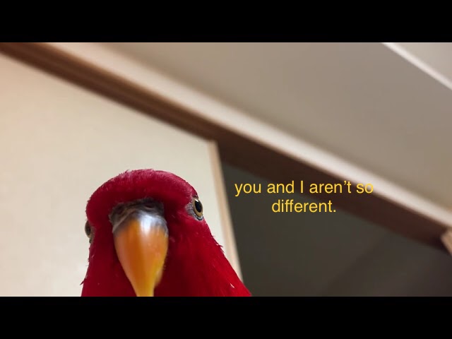 E53CD842-3350-4C6F-87CE-9526ABD1ACA2.jpeg