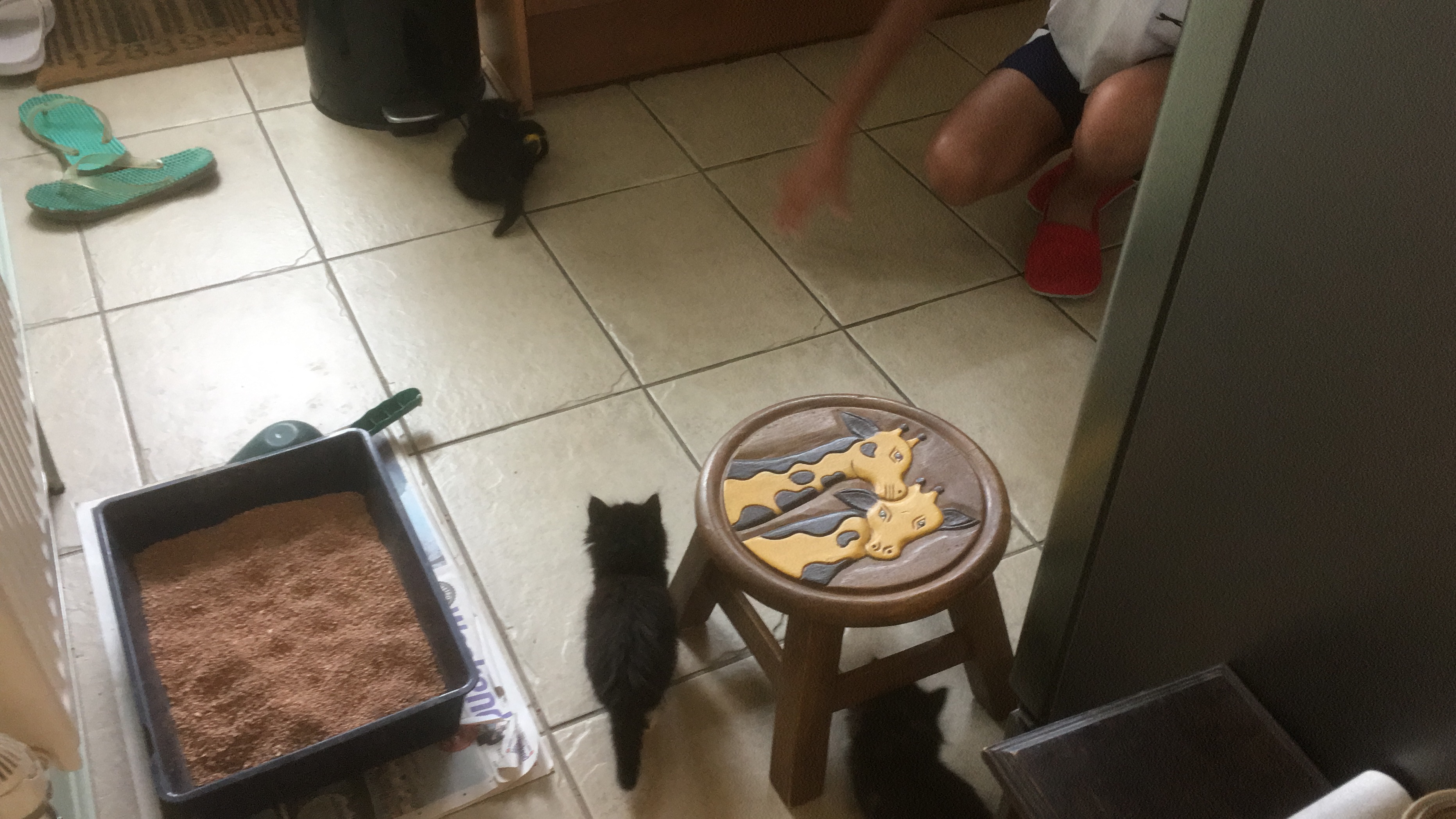 E746C0E2-4281-49B1-B463-9F38DF2EC289.jpeg