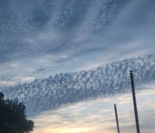 E9BC67D2-BE5F-47DC-81C4-C02729503268.jpeg