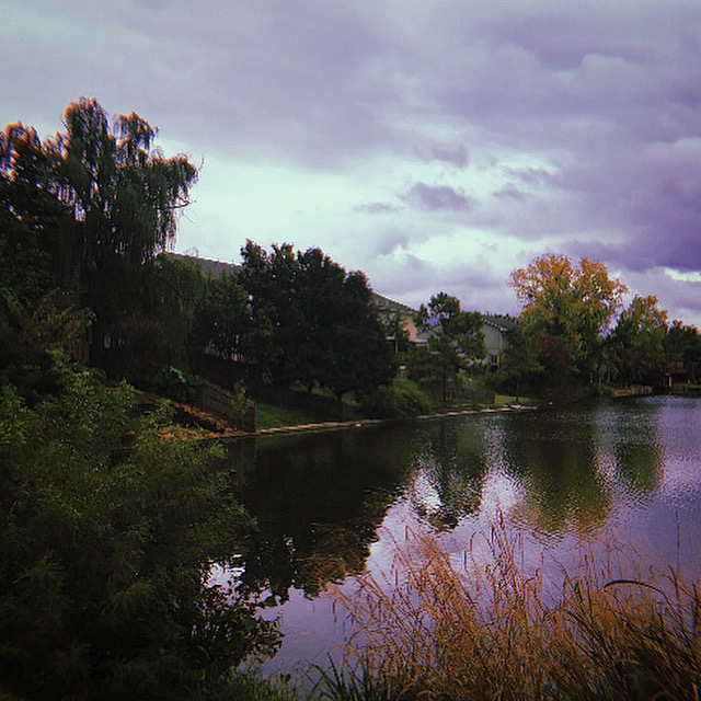 EEA1DFFF-A553-497A-8289-FE0C4E8123AF.jpeg