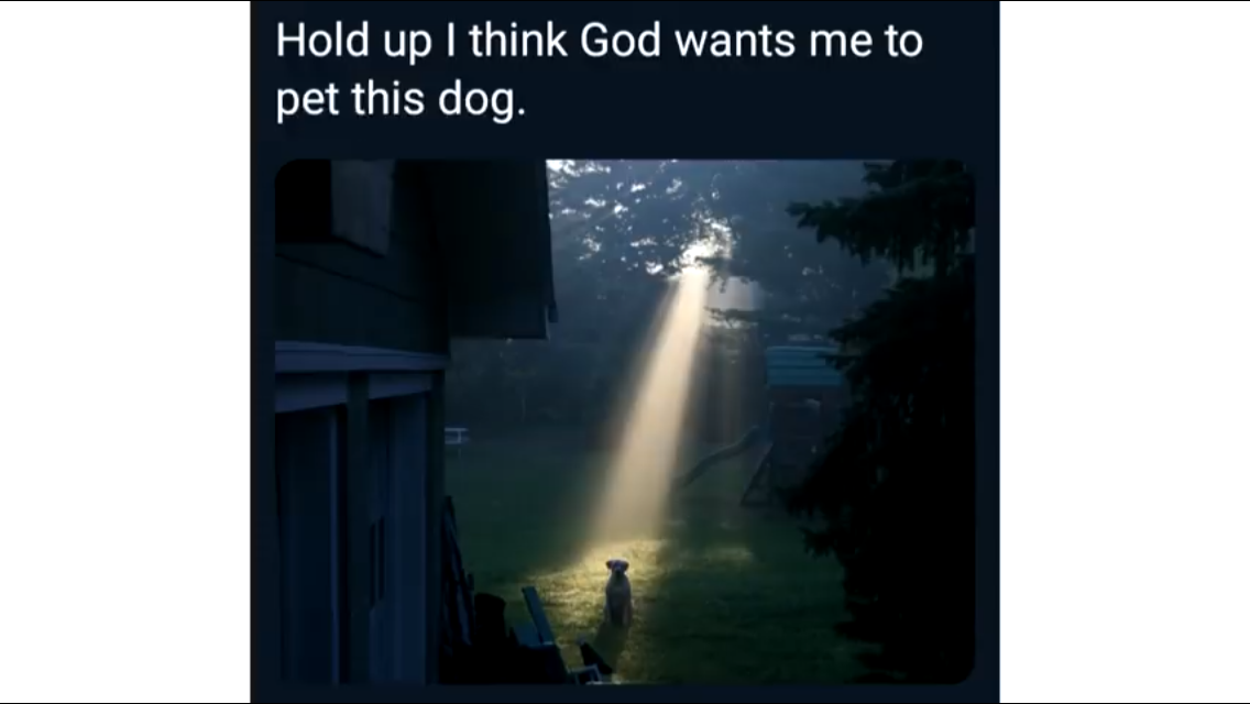 F0A6032E-F08E-48DC-9F9B-FD38B5DA03E5.png