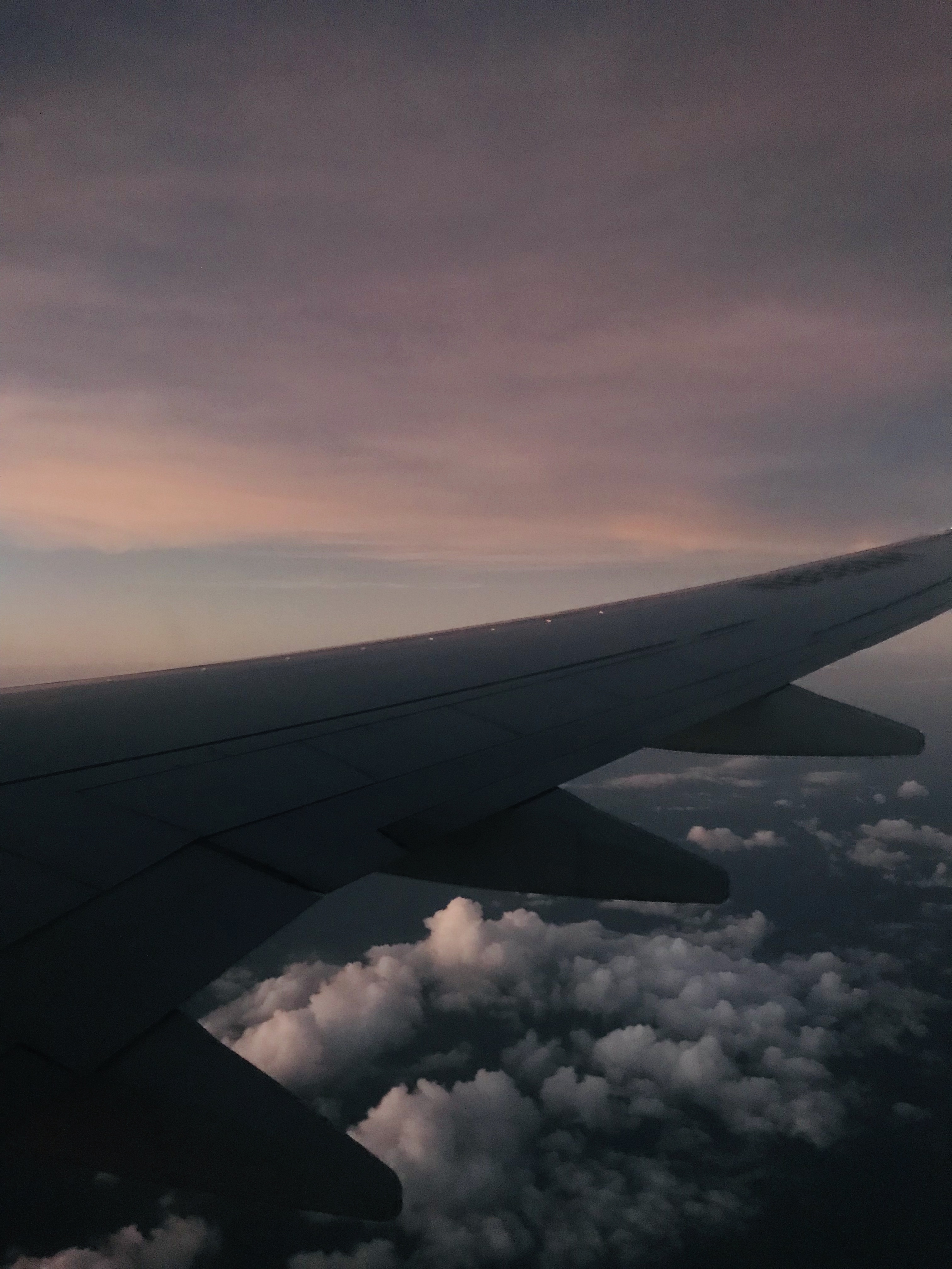 F9D3FD52-27C5-49E0-AD30-42C69FF14DC6.jpeg