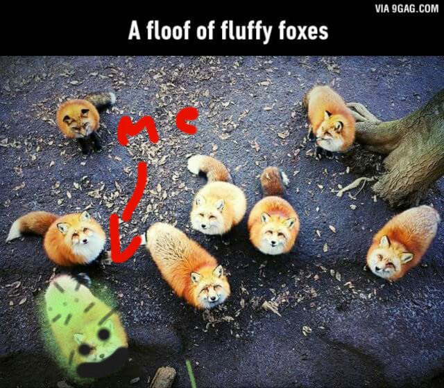 FB_IMG_1468523434238_1.jpg