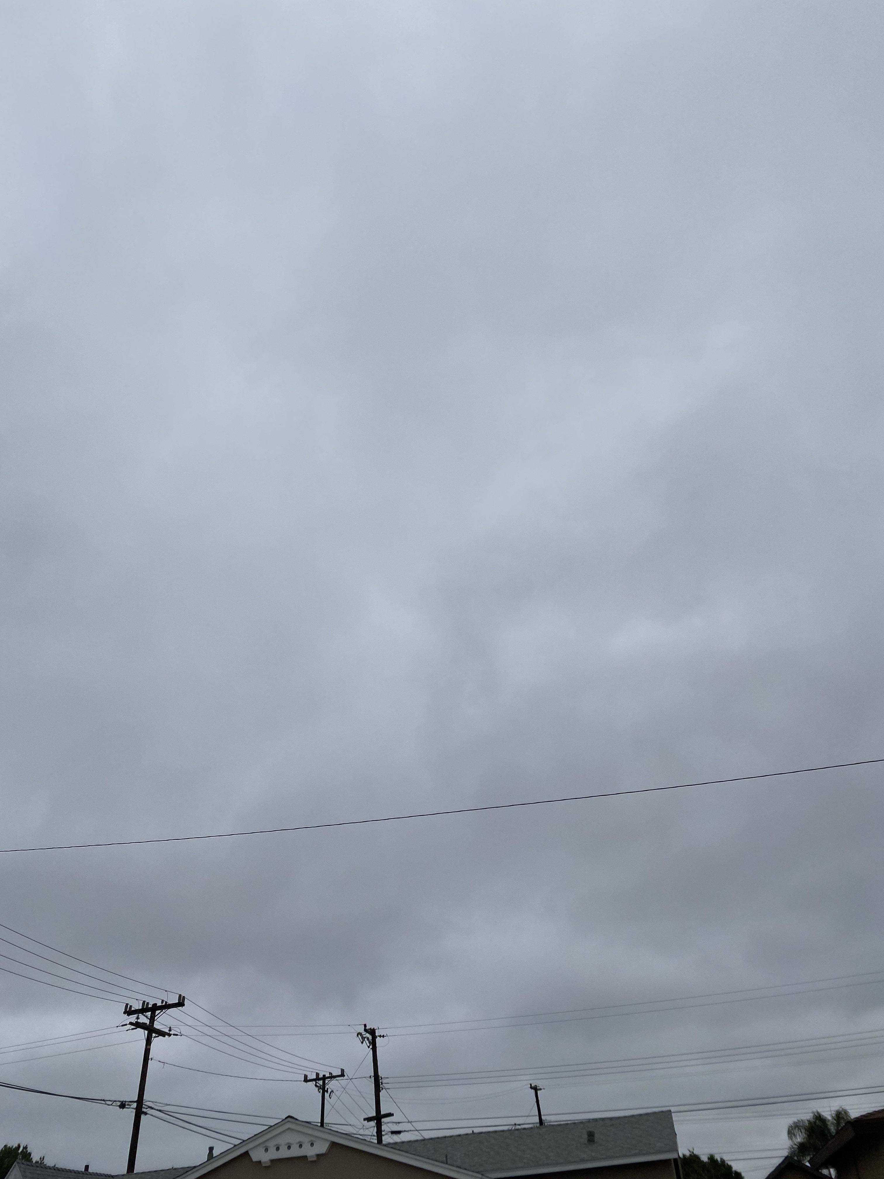 FF786BEC-E6A9-409F-9C0B-8D224EF2C0D2.jpeg