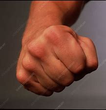 fist.jpg